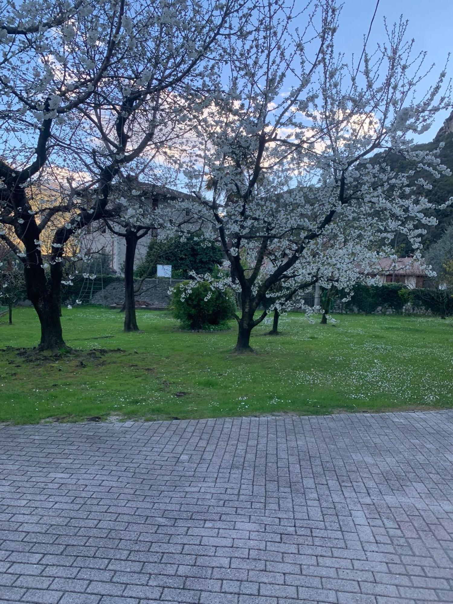 Hotel Garni Delle Rose Ceniga Eksteriør billede